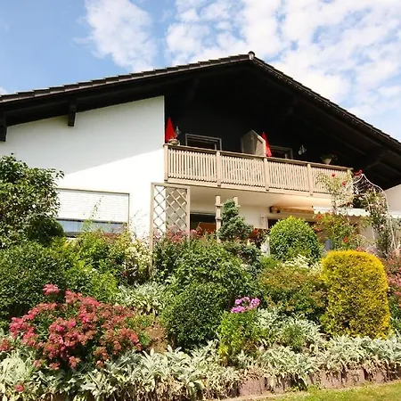 Ferienhaus-holzapfel-ferienwohnung-sonnengarten 公寓 Geiersthal